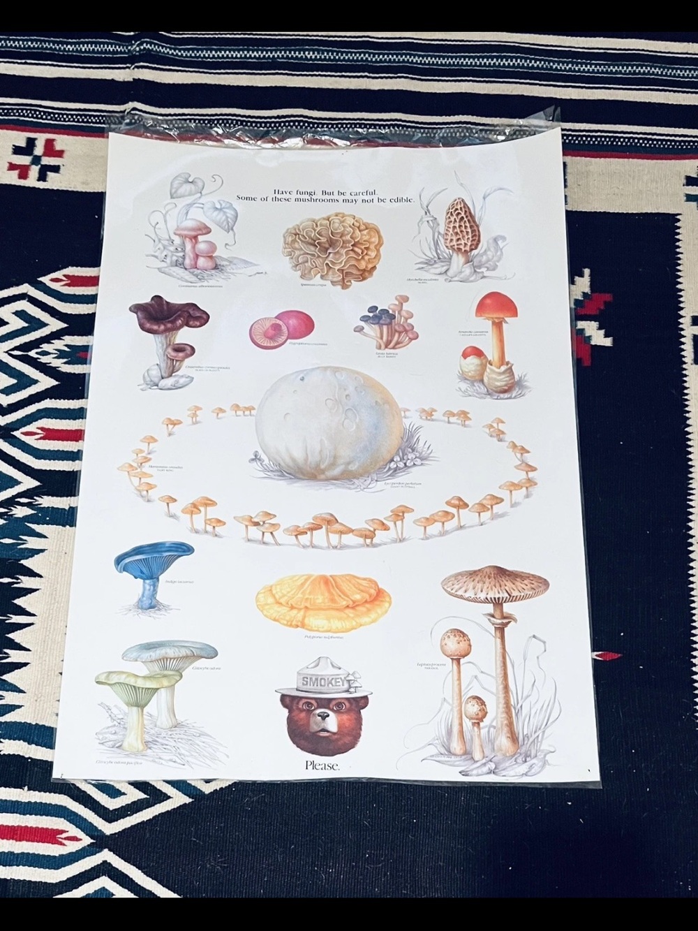 Vintage Smokey the Bear Fungi Mushroom Poster Mycology Art